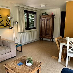 Guest house 321038 - Holiday property Veluwe - Tiny Lodge Basic