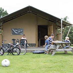 Verblijf 3211100 - Vakantiewoning Veluwe - Woodlodge