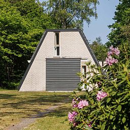Vrijstaande woning in Hoenderloo op de Veluwe, Gelderland, omgeven door groene natuur en bloeiende planten, ideaal vakantiehuis voor rustzoekers.