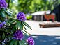 Guest house 321119 • Holiday property Veluwe • Vakantiehuis Douglas  • 9 of 16