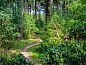Guest house 321119 • Holiday property Veluwe • Vakantiehuis Douglas  • 10 of 16