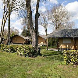 Verblijf 321532 - Tenthuis Veluwe - Safaritent