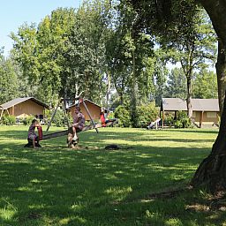 Verblijf 321532 - Tenthuis Veluwe - Safaritent