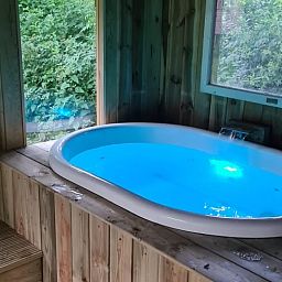 Unterkunft 321730 - Ferienhaus Veluwe - Vakantiehuis in Garderen