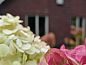 Guest house 321746 • Holiday property Veluwe • Huisje in Garderen  • 3 of 26