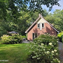 Unterkunft 321755 - Bungalow Veluwe - Bosbungalow Garderen