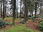 Verblijf 321774 • Vakantiewoning Veluwe • Vakantiehuisje in Garderen  • 8 van 26