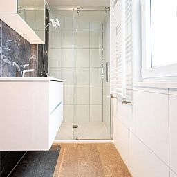 Moderne badkamer in Silva 4 personen Wellness vakantiehuis, Garderen, Veluwe, met inloopdouche.