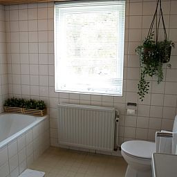 Unterkunft 321830 - Ferienhaus Veluwe - Vakantiehuis in Elspeet