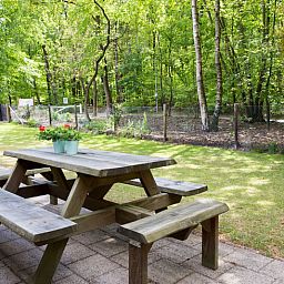 Gezellige woonkamer in Huisje in Elspeet, Veluwe, Gelderland met comfortabele banken en uitzicht op de groene natuur.