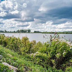 Hiking trail in nature near DG256 vacation home in Putten, Veluwe, Gelderland.