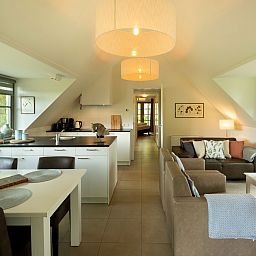 Modern kitchen and living room in Holiday home Sprielderbosch 12 'De Kuifmees', vacation home on the Veluwe in Putten.