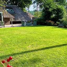 Gepflegter Garten und Terrasse im Ferienhaus Sprielderbosch 23 De Zwijnenstal, Ferienhaus an der Veluwe in Putten.