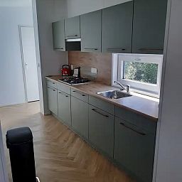Guest house 3220200 - Chalet Veluwe - Huisje de Berk - Modern met Sauna