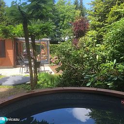 Unterkunft 3220244 - Chalet Veluwe - Veluweboshuisje met airco en hottub.