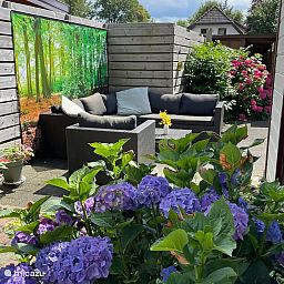Guest house 3220260 - Holiday property Veluwe - Chalet met tuin incl fietsen Veluwe