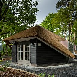 Charmantes Ferienhaus Cottage in Putten in der Veluwe, Gelderland. Geniessen Sie die rustikale Umgebung und das Reetdach inmitten der Natur.