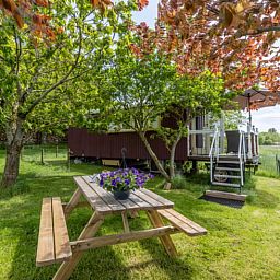 Outdoor area with picnic table at Holiday home in Wezep/Oldebroek, surrounded by nature on the Veluwe.