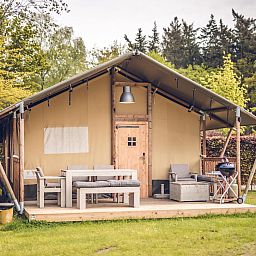 Verblijf 3222161 - Tenthuis Veluwe - Safaritent 'Vos'