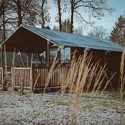 Verblijf 3222167 - Tenthuis Veluwe - Tiny Safari House