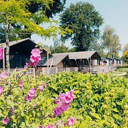 Verblijf 3222167 - Tenthuis Veluwe - Tiny Safari House