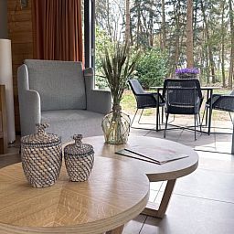 Gemuetliches Wohnzimmer des Ferienhauses in Voorthuizen mit Blick auf die Terrasse und das Waldgebiet, gelegen in Veluwe, Gelderland.
