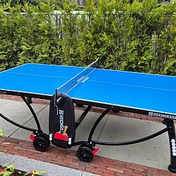 Tafeltennistafel in de tuin van Vakantiehuis in Voorthuizen Veluwe voor sportieve gasten.