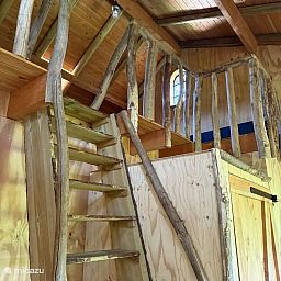 Unterkunft 322287 - Ferienhaus Veluwe - Boomhut