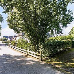 Ruhige Strasse mit Baeumen in der Naehe des Ferienhauses in Vaassen, Veluwe, ideal fuer Spaziergaenge.