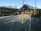 Guest house 322411 • Holiday property Veluwe • Vakantiehuis in Hulshorst  • 3 of 25