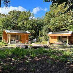 Fresh bouquet of flowers in the living room of Huisje in Otterlo, a vacation home in Otterlo, Veluwe, Gelderland.