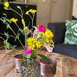 Sunny terrace at Cottage in Otterlo, perfect for relaxation in Otterlo, Veluwe, Gelderland.