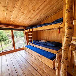 Guest house 3225193 - Holiday property Veluwe - Nature Lodge