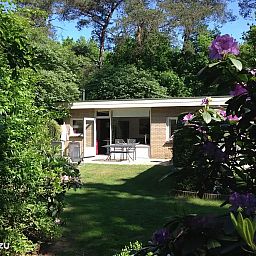 Unterkunft 3225224 - Ferienhaus Veluwe - Boshuisje Veluwe Natuurpark Hoefbos