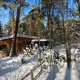 Schnee bedeckt den Wald um das Ferienhaus in Otterlo, ein charmantes Ferienhaus in der Veluwe, Gelderland, umgeben von Natur.