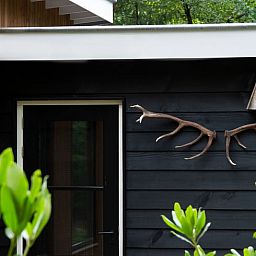 Stilvolles Aeusseres des Ferienhauses in Otterlo, Veluwe mit natuerlicher Dekoration und gruener Umgebung in Gelderland.