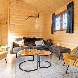 Comfortabele zithoek in Vakantiehuis Boekhorst 5, Otterlo, Veluwe met stijlvolle meubels en gezellige sfeer.