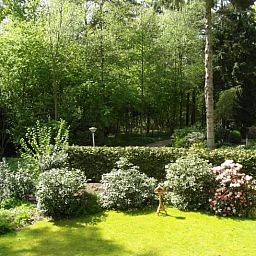 Vacation home in Epe surrounded by the green nature of the Veluwe, Gelderland, with a beautiful view of the wooded landscape.