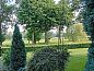 Guest house 3227177 • Holiday property Veluwe • Sfeervol 2 persoons vakantiehuis landelijk gelegen in Epe,  • 10 of 15