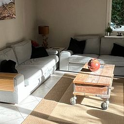 Gezellige woonkamer in Huisje in Epe, Veluwe, Gelderland met comfortabele banken en veel natuurlijk licht.