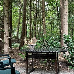 Unterkunft 322734 - Ferienhaus Veluwe - Vakantiehuis in Epe