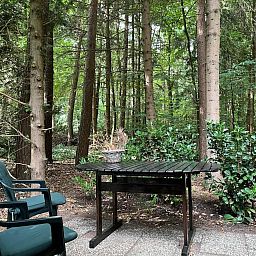 Verblijf 322739 - Vakantiewoning Veluwe - DG2161