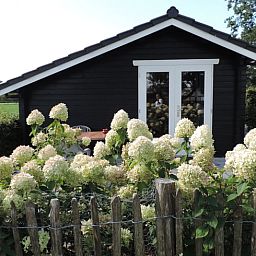 Unterkunft 322743 - Ferienhaus Veluwe - Vakantiehuis in Epe