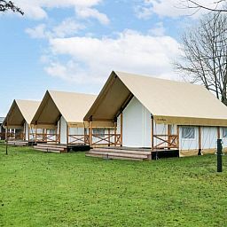 Unterkunft 3230100 - Zelthaus Veluwe - Glampingtent