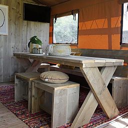 Unterkunft 3230113 - Zelthaus Veluwe - Glampingtent Desert