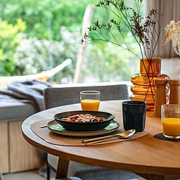 Unterkunft 3230121 - Ferienhaus Veluwe - TED Tiny House