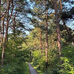 Unterkunft 3230149 - Ferienhaus Veluwe - Vakantiehuis in Nunspeet