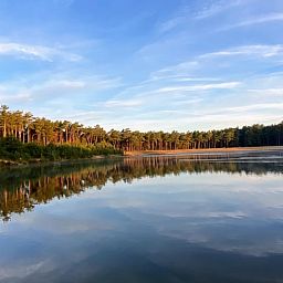 Unterkunft 3230149 - Ferienhaus Veluwe - Vakantiehuis in Nunspeet