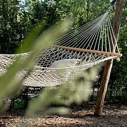 Relax in the hammock at Cottage in Nunspeet, Veluwe, Gelderland, surrounded by lush forests.