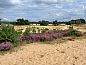 Guest house 323124 • Holiday property Veluwe • Vakantiehuis in Lunteren  • 12 of 14